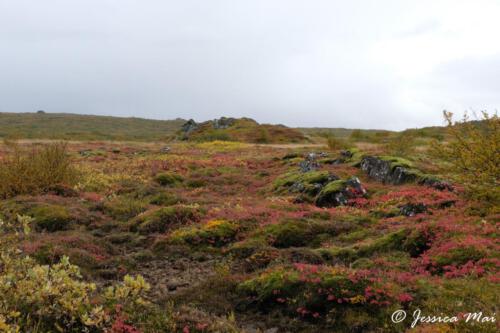 01 Thingvellir NP
