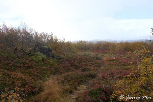 02 Glanni surroundings