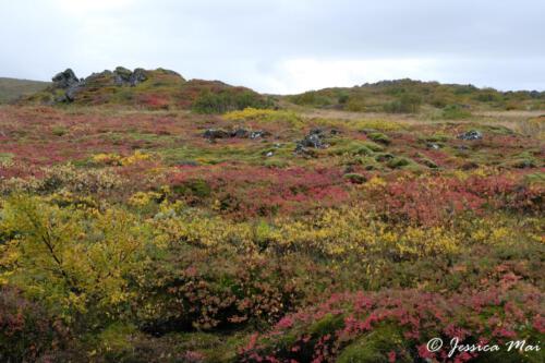 02 Thingvellir NP