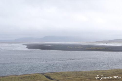 04 Hvitserkur