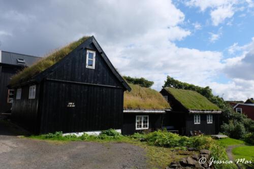 06 Turf houses
