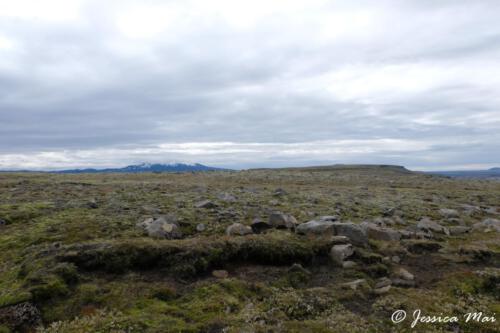 DSCF5078