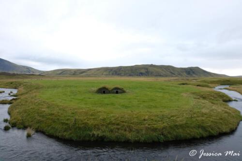 DSCF5082