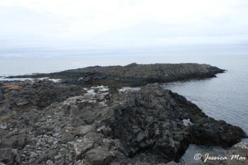 DSCF5517