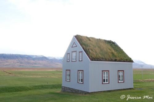 DSCF5655