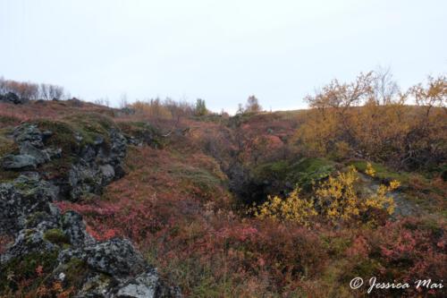 DSCF5779