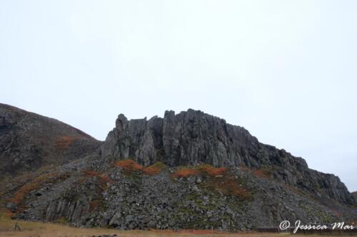 DSCF5814