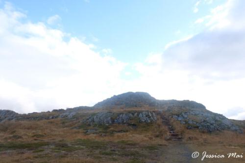 DSCF5851