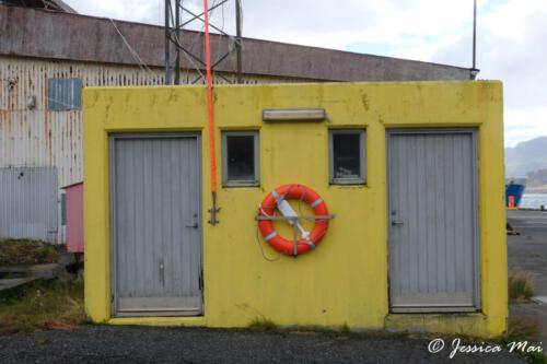 Eskifjördur (16)