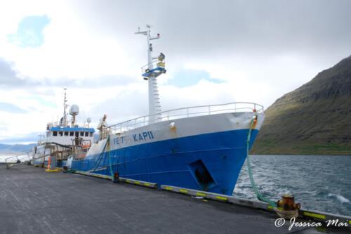 Eskifjördur (7)